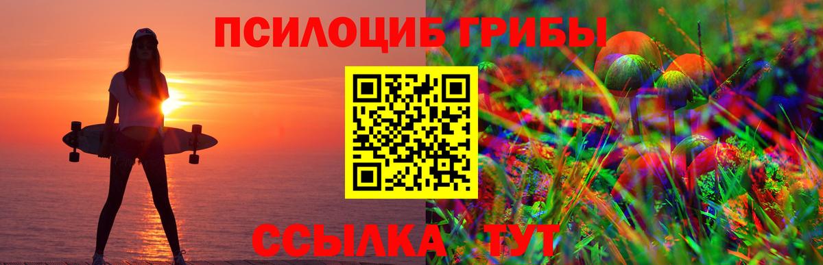 Верхняя Салда  Галлюциногенные грибы Psilocybe  Вход с VPN 